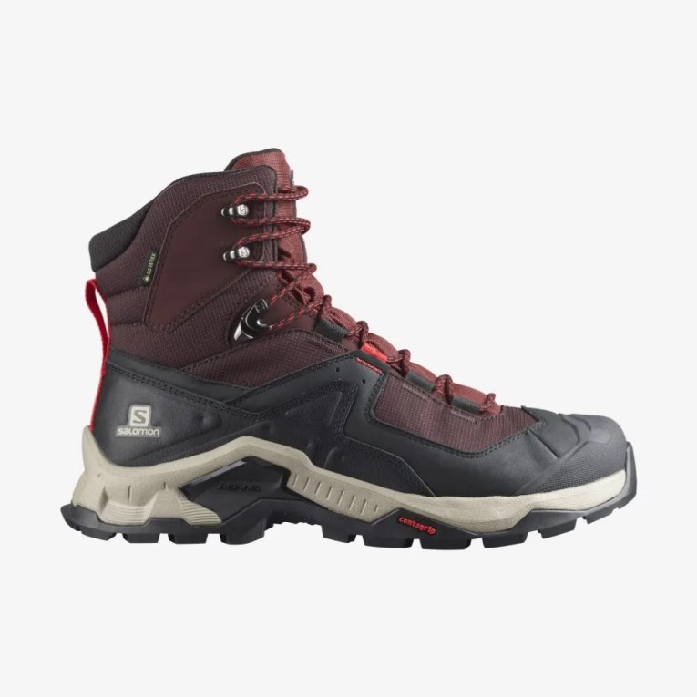 Botas Montaña Salomon Quest Element GTX Hombre Vino Negros | MX GOUQ986